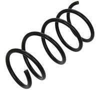 Triscan 8750 2585 - Molla Autotelaio