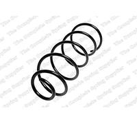 Triscan 8750 2889 - Molla Autotelaio