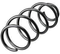 Triscan 8750 29288 - Molla Autotelaio