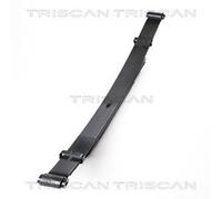 Triscan 8765 50005 Pacchetto di Primavera Posteriore per Mazda B-Serie Un Ford