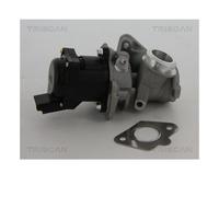 Triscan 8813 10010 VALVOLA AGR Per Peugeot 206 Suzuki SX4 Citroën Fiat