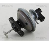 TRISCAN 8813 11002 Valvola EGR