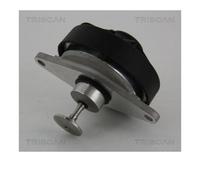 Valvola aria secondaria pneumatico 8813 24202 TRISCAN per OPEL