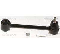 TRISCAN Braccio Oscillante Manubrio Posteriore Frontale SX Dx Esterno Sopra per