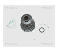 Triscan Manicotto Asse Esterno per Citroen C25 Fiat Peugeot J5