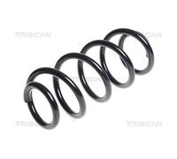 Triscan Molle Anteriore per Audi A4 A6 A7