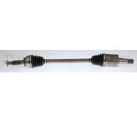 TRISCAN Semiasse Giunto Cardanico per Tesla Model S 60D 75D AWD