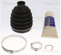 TRISCAN Set Di Guarnizioni Per Renault Kangoo Express FW0/1 KW0/1