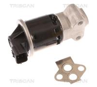 TRISCAN 8813 21100 Valvola EGR
