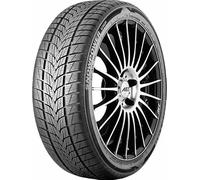 TRISTAR 245/40 R18 97V Invernale Auto