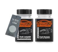 TRISTARcolor Vernice per auto Kit stilo di ritocco per BYD UAM He Er Mo Si LV Metallic Vernice di base vernice trasparente ognuno 50ml