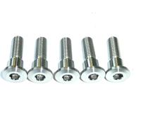 Triumph America Efi Kit Bulloni Disco Freno Posteriore In Titanio Race Spec