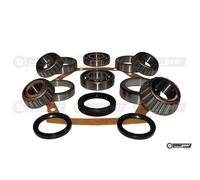 Triumph Sprint Asse Post. Cuscinetto Differenziale Ricostruzione Kit Riparazione