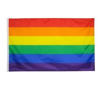 TRIXES Bandiera arcobaleno piccola - LGBTQ Pride Flags / England NHS Support Banner - Accessori per esterni e interni per Pride Month, Carnevale, Festivals, Garden Party - Lesbiche, Gay, Bi, Trans