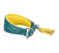 TRIXIE Active Komfort 18966 - Collare per cani di piccola taglia, taglia XS-S: circonferenza collo 24-31 cm, 50 mm, colore: petrolio