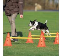 TRIXIE Aste e Coni per Allenamento Cane 1 PZ
