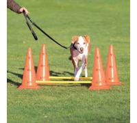 TRIXIE Coni e Aste per Allenamento Cane 1 PZ