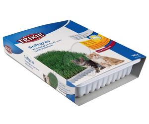 Trixie erba gatta 100 g (TRX4232)