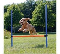 TRIXIE Gioco Ostacolo Agility per Cane 1 PZ
