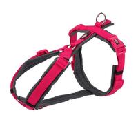 Collare Trekking Premium 32-38 cm/13 mm fucsia/grafite