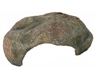 TRIXIE Steppe Decorazione per rettili, 30 x 10 x 25 cm