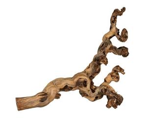 TRIXIE Tralcio levigato ad acqua 40-60cm