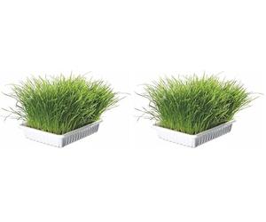 Trixie TX 4235 - Cat Grass Bowl, 100gr (Confezione da 2)