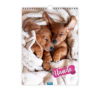 TRÖTSCH Classickalender Hunde 2027: Wandkalender