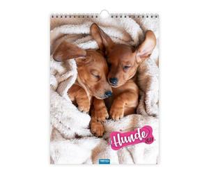 TRÖTSCH Classickalender Hunde 2027: Wandkalender