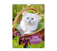 Trötsch Classickalender Liebste Katzen 2027: Wandkalender