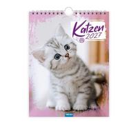 Trötsch Notizkalender zum Hängen Katzen 2027: Wandkalender Notizkalender