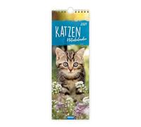 TRÖTSCH - Streifenkalender Katzen 2027 Notizkalender: Wandkalender Notizkalender