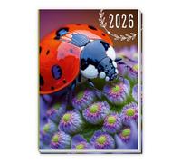 TRÖTSCH - Taschenkalender A7 Marienkäfer 2026