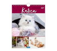 Trötsch Wochenkalender zum Hängen Katzen 2027: Wandkalender