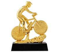 Trofei, medaglie e premi Trofeo d'Onore del Campionato di Gare di Mountain Bike Premi per I Premi della Squadra Sportiva di Ciclismo Ornamenti Regalo per Bambini