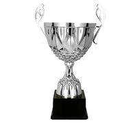 Trofeo Larius in Metallo in Oro e Argento, Premio d'Onore Trofeo con Incisione a Richiesta (senza Testo Personalizzato, Argento, M)