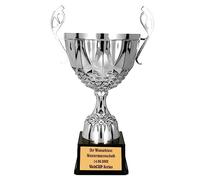 Trofeo Larius in Metallo Oro e Argento, Trofeo Premio d'Onore con Incisione Personalizzata (con Testo Personalizzato, Argento, L)