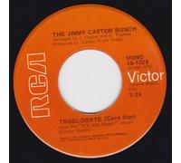 Troglodyte (Cave Man)/I Promise To Remember (VG+ 45 rpm)