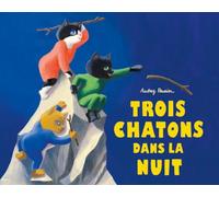Trois chatons dans la nuit