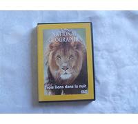 Trois lions dans la nuit