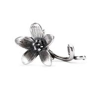 Trollbeads - -tagpe Charm in Argento 925 00061