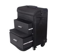 Trolley da donna di grande capacità for cosmetici, valigia con rotelle for unghie e trucco, multifunzione for tatuaggi bellezza Per Estetista Parrucchiere Da Viaggio