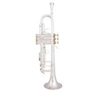 Tromba Amanti Della Musica Tromba In Sib Si Bemolle Ottone Placcato Argento Tromba Professionale Strumenti Musicali Oro(Silver)