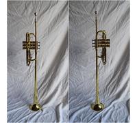 tromba araldica chiarina 3 pistoni astuccio parata sbandieratori tipo aida sib