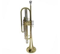 Tromba Bassa In Sib Strumenti Musicali Lacca Argento Nichelato Acciaio Inossidabile Ottone Principiante Strumento Standard(Gold)