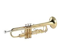 Tromba BB B Tromba Piana Brass Brass Verniciato Oro Squisito Strumento Musical Resistente Con Guanti Del Boccaglio