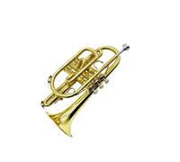 Tromba Cornetta Lacca Dorata Cornetta In Sib Cornetta In Ottone Cornetta Per Strumenti Per Prestazioni Professionali