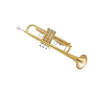 tromba dello strumento musicale B Strumento a tromba piatta Corpo in tubo di ottone laccato con superficie dorata Tipo speciale