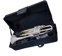 tromba dello strumento musicale B Tromba Piatta Bianca Chiave Dorata Colorata Tromba In Ottone Con Bocchino Guanti Accessori Per Valvole Bellissimo Corpo Del Tubo