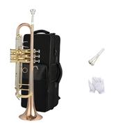 Tromba Dello Strumento Musicale Esame Di Esecuzione Dello Strumento Tromba In Si Bemolle Per Principianti(Phosphor bronze)